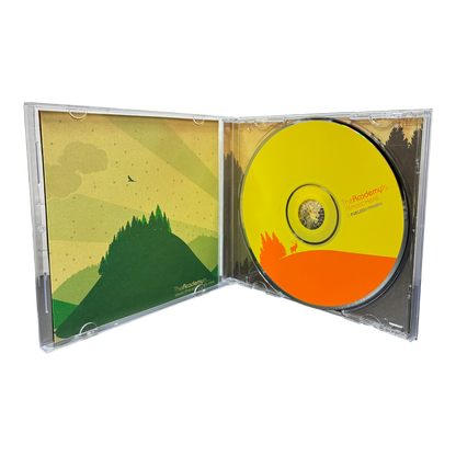 The Academy Is... -  Almost Here CD PRE-OWNED